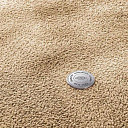 Ковролин Vorwerk Superior 1067 Mira Vorwerk 8k08  | FLOORDEALER