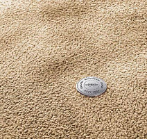 Ковролин Vorwerk Superior 1067 Mira Vorwerk 8k08 фото 1 | FLOORDEALER