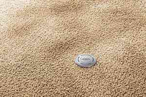 Ковролин Vorwerk Superior 1067 Mira Vorwerk 8k08 фото  | FLOORDEALER