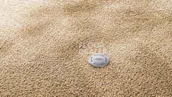 Ковролин Vorwerk Superior 1067 Mira Vorwerk 8k08 фото 1 | FLOORDEALER