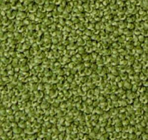 Ковролин Infloor Campino 440 фото 1 | FLOORDEALER