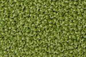 Ковролин Infloor Campino 440 фото  | FLOORDEALER