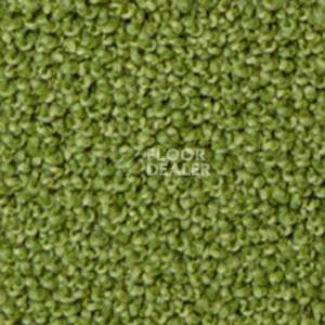 Ковролин Infloor Campino 440 фото 1 | FLOORDEALER