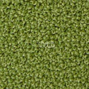 Ковролин Infloor Campino 440 фото 1 | FLOORDEALER