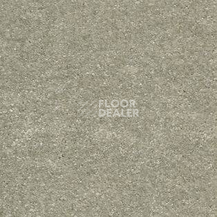 Ковролин AW Sensation 29 фото 1 | FLOORDEALER