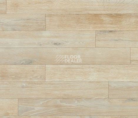 Линолеум Novoflor Extra Wood 2017-5 фото 1 | FLOORDEALER