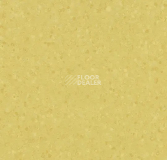 Линолеум Forbo Sphera Element 50068 hay фото 1 | FLOORDEALER