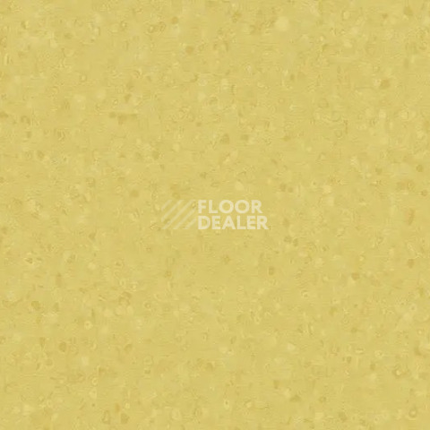 Линолеум Forbo Sphera Element 50068 hay фото 1 | FLOORDEALER