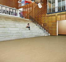 Forbo Marmoleum Solid Concrete 3728-372835 Kaolin фото 3 | FLOORDEALER