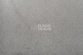 Lano Sense Pure 108 фото 2 | FLOORDEALER