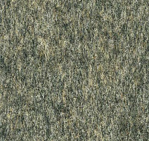 Ковролин Finet G.T. 2000 1602 фото 1 | FLOORDEALER