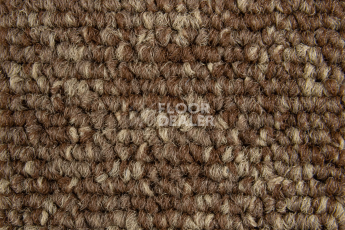 Balsan Season - Summer / Winter 670 фото 2 | FLOORDEALER