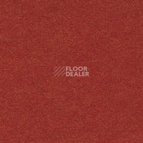 Ковролин Finett Feinwerk 503503 фото 1 | FLOORDEALER