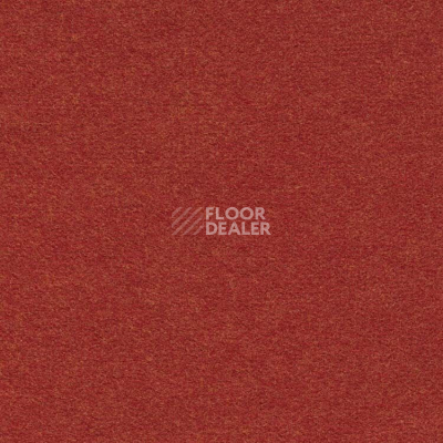 Ковролин Finett Feinwerk 503503 фото 1 | FLOORDEALER