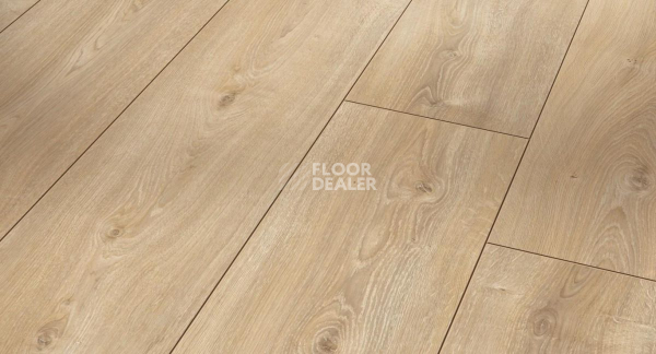 Ламинат Parador Trendtime 6 1567469 Дуб Нова Беленый Яркий фото 1 | FLOORDEALER