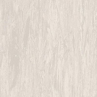 Линолеум Tarkett Somplan 50 3024 679 (3014 679) фото 1 | FLOORDEALER