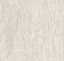 Линолеум Tarkett Somplan 50 3024 679 (3014 679) фото 1 | FLOORDEALER