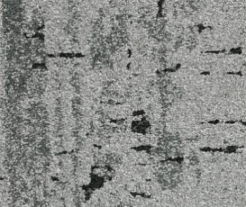 Balsan Zoom HD - CTB 910 фото 1 | FLOORDEALER