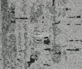 Ковровая плитка Balsan Zoom HD - CTB 910 фото 1 | FLOORDEALER