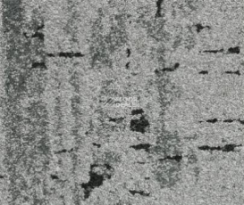 Balsan Zoom HD - CTB 910 фото 1 | FLOORDEALER