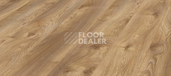 Ламинат Kronotex Mammut Plus d4794 Дуб Натуральный Макро фото 1 | FLOORDEALER
