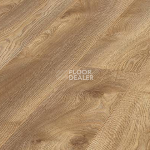 Ламинат Kronotex Mammut Plus d4794 Дуб Натуральный Макро фото 1 | FLOORDEALER