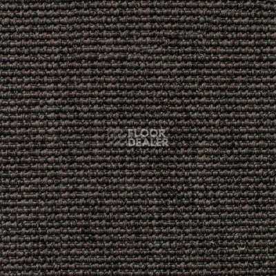 Ковролин Carpet Concept Eco Iqu 60237 фото 1 | FLOORDEALER