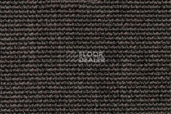 Ковролин Carpet Concept Eco Iqu 60237 фото 1 | FLOORDEALER