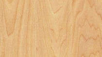 Линолеум Taraflex Surface Wood 6381_Maple_design фото 1 | FLOORDEALER