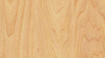 Taraflex Surface Wood 6381_Maple_design фото 1 | FLOORDEALER