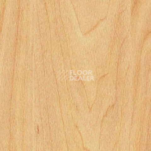 Линолеум Gerflor Taraflex Surface Wood 6381_Maple_design фото 1 | FLOORDEALER