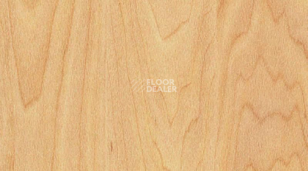 Линолеум Taraflex Surface Wood 6381_Maple_design фото 1 | FLOORDEALER