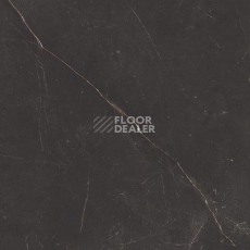 Nolana ( Нолана ) 60 x 60 x10 NL04 фото 8 | FLOORDEALER