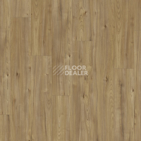 Kronotex Dynamic Plus d4771 Каллисто фото 5 | FLOORDEALER
