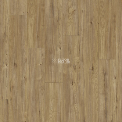 Kronotex Dynamic Plus d4771 Каллисто фото 5 | FLOORDEALER