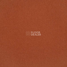 Ковровая плитка Interface Palette 2000 Paprika фото 1 | FLOORDEALER