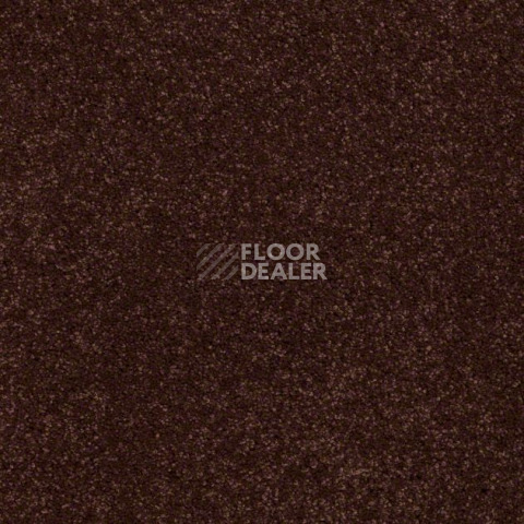 Ковролин Shaw Design Texture Platinum 621 фото 1 | FLOORDEALER