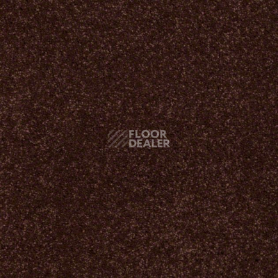 Ковролин Shaw Design Texture Platinum 621 фото 1 | FLOORDEALER