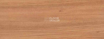 Плинтус Dollken EP 60/13 2361 фото 2 | FLOORDEALER