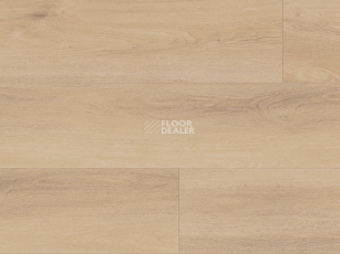 Kronotex Exquisit Plus d80242 Дуб Аванто Бежевый фото 1 | FLOORDEALER