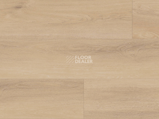 Ламинат Kronotex Exquisit Plus d80242 Дуб Аванто Бежевый фото 1 | FLOORDEALER