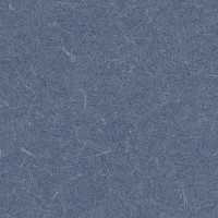 Линолеум Grabo Silver Knight Acoustic 7 455_859-6308 фото 1 | FLOORDEALER