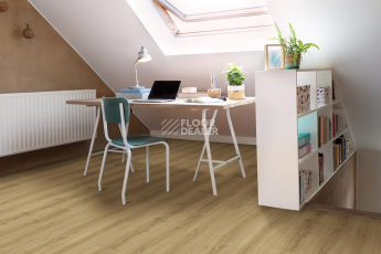 Next Acoustic дерево SILKY OAK 235 BO фото 2 | FLOORDEALER