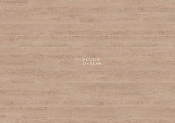 Ламинат Wineo 700 Wood XXL V4 8мм LA225XXLV4 Дуб Финский Бежевый фото 1 | FLOORDEALER