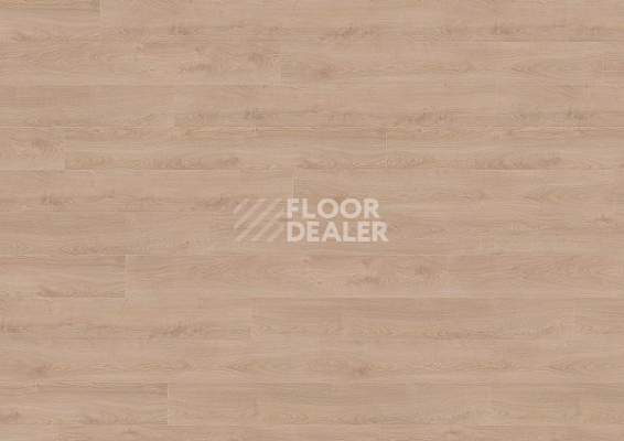 Ламинат Wineo 700 Wood XXL V4 8мм LA225XXLV4 Дуб Финский Бежевый фото 1 | FLOORDEALER