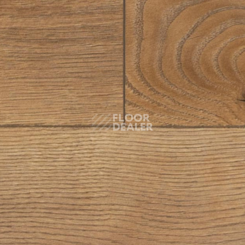 My Step Mega 12 ms 2912 Дуб Кёльн фото 3 | FLOORDEALER