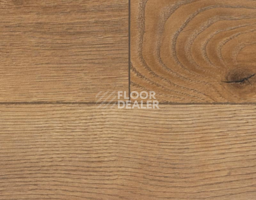 Ламинат My Step Mega 12 ms 2912 Дуб Кёльн фото 3 | FLOORDEALER