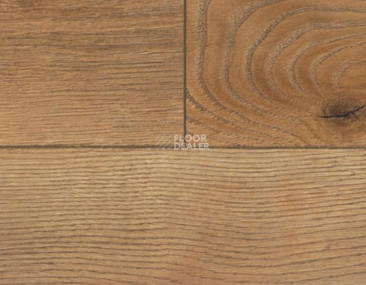 Ламинат My Step Mega 12 ms 2912 Дуб Кёльн фото 3 | FLOORDEALER