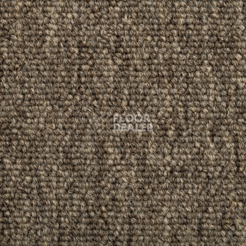 Standard Carpets Romeo Park 598 фото 4 | FLOORDEALER
