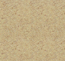 Линолеум Lg Delight DLT9102 фото 1 | FLOORDEALER